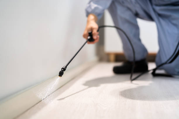 Licensed Termite Control service in Ledbetter, KY - Nex Pest Control