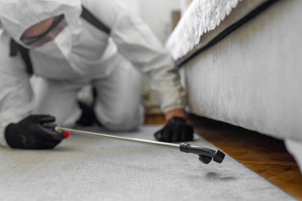 Professional Termite Control technician working in Ledbetter, KY