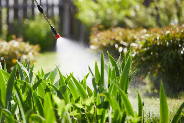 24/7 Emergency Termite Control experts in Ledbetter, KY