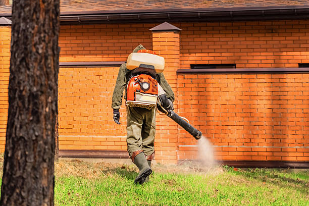 Top rated local Termite Control specialists in Ledbetter, KY